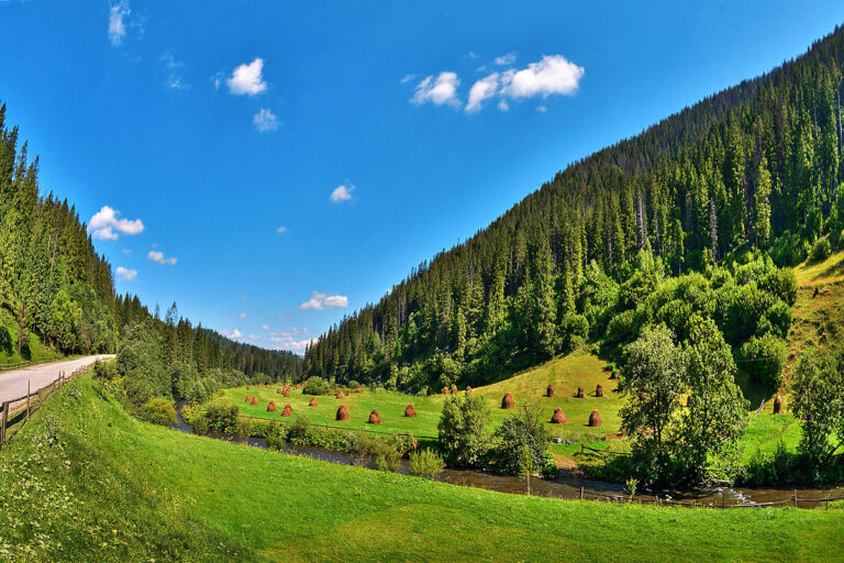 ДИТЯЧИЙ АНГЛОМОВНИЙ ТАБІР В КАРПАТАХ – FAYNO CAMP YAREMCHE