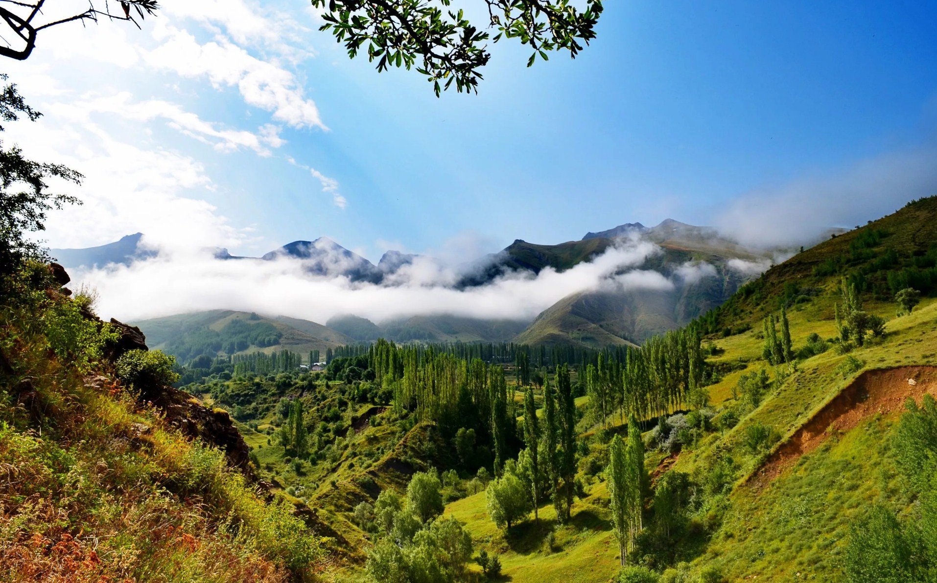 КАЧЕСТВО ВОЗДУХА В ТУРЦИИ УЛУЧШИЛОСЬ НА 16%