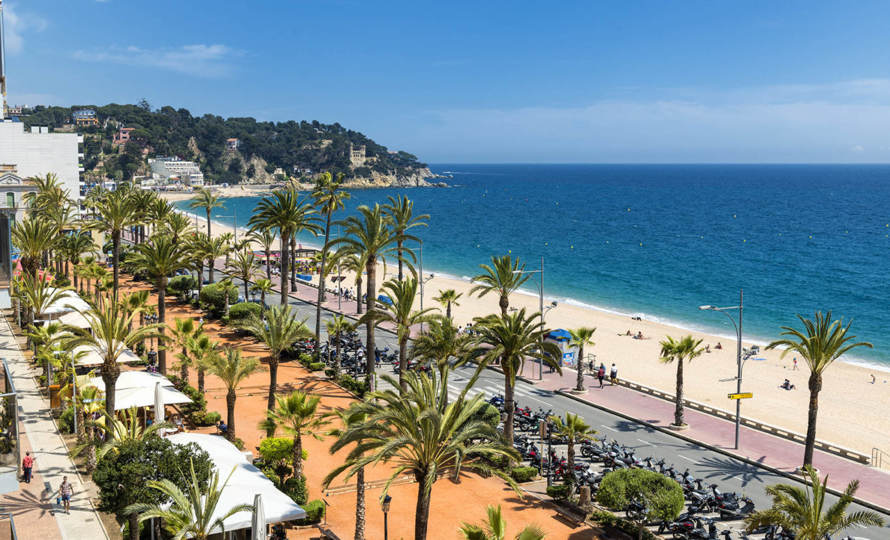 Іспанія пальми