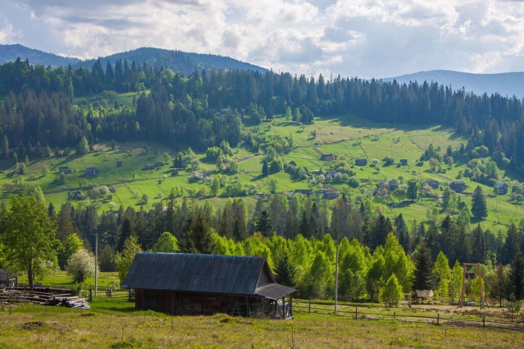 Ліс Карпати