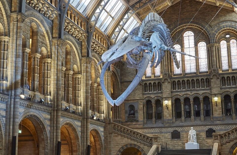 museum