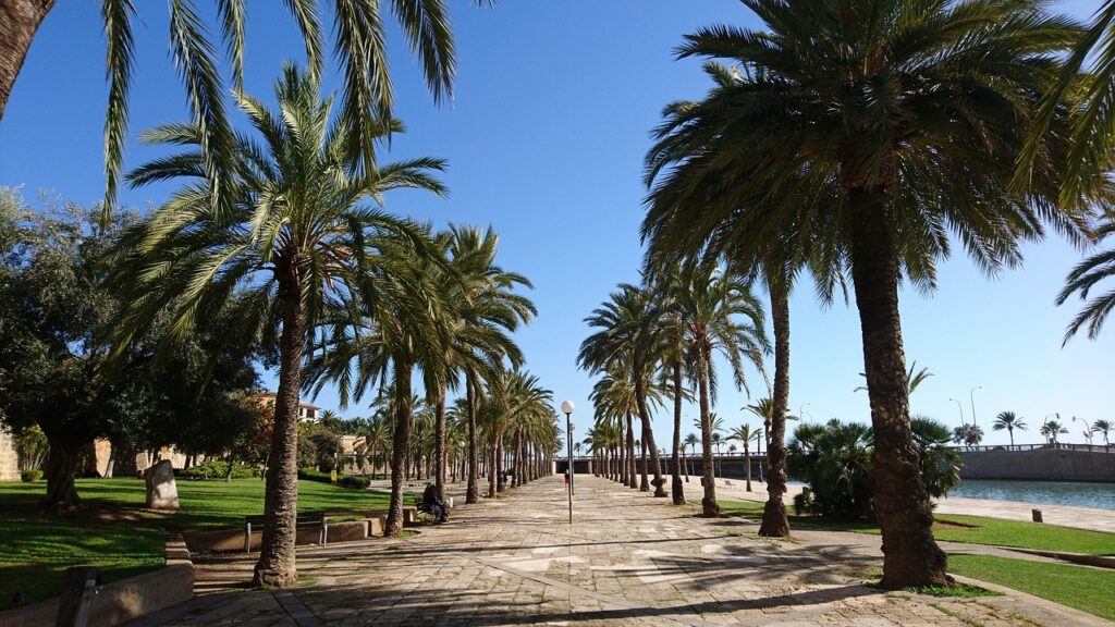 palma-de-mallorca