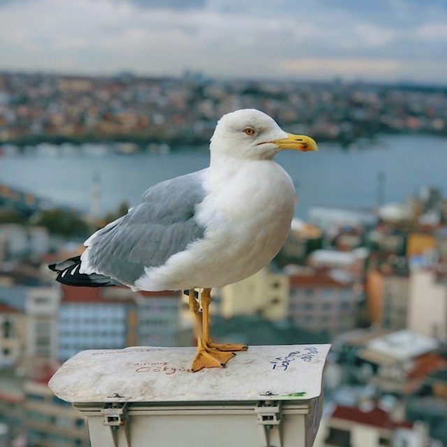 türkiye, i̇stanbul